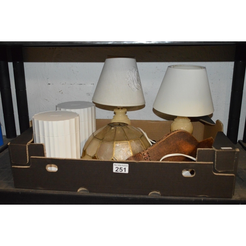 251 - Box of lamps etc