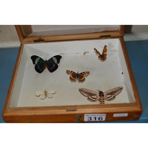 316 - Mounted moths/butterflies