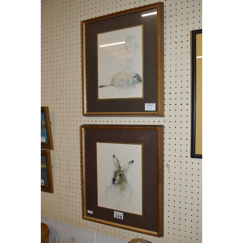 310 - 2 framed pictures