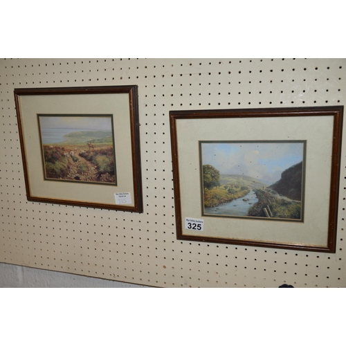 325 - 2 framed pictures