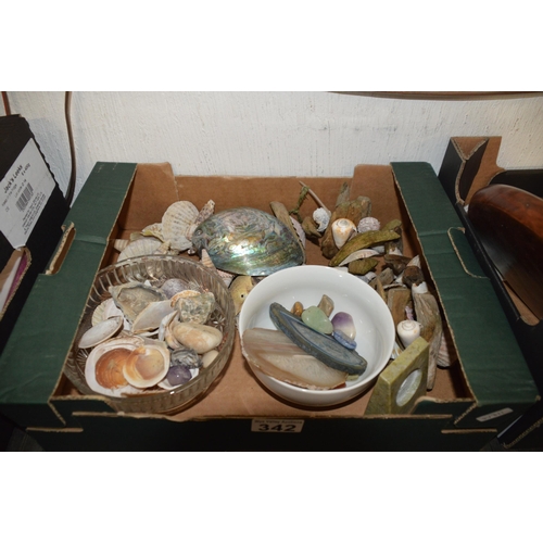 342 - Box of shells etc