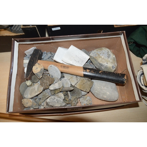 80 - Box of fossils, rocks & rock hammer