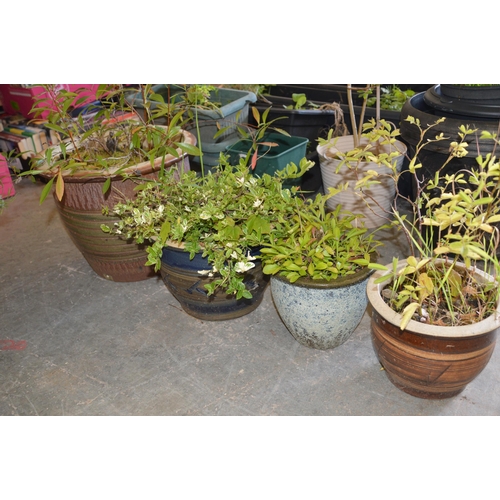4 assorted pots with plants