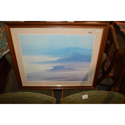 210 - framed print