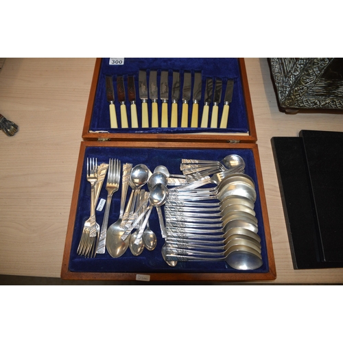 300 - cutlery set