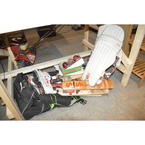 154 - qty of cricket gear