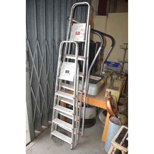 165 - 2 ladders