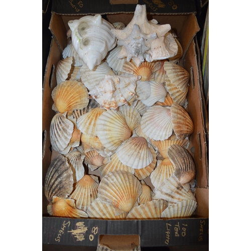 124 - box of shells