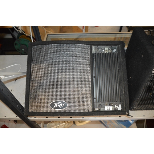 37 - peavey amplifier