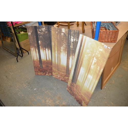 225 - 3 canvas prints