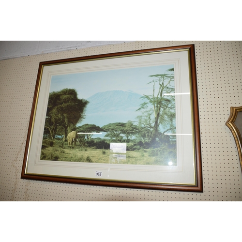 316 - framed picture