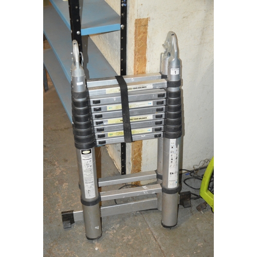 1 - telescopic ladder