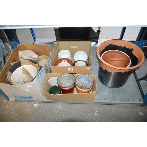 41 - bay of assorted plant pots