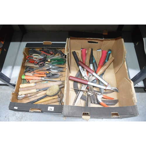 Lot 24        