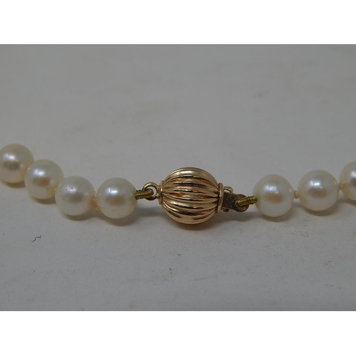 17 - Single Row Pearl Necklace with 9ct Gold Clasp.