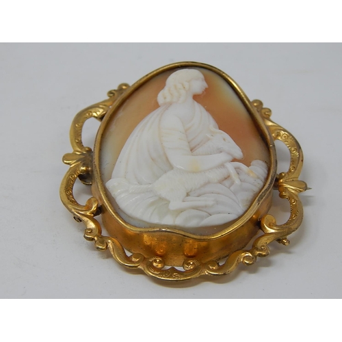 21 - Yellow Metal mounted Cameo Brooch 5.5cm x 4.2cm