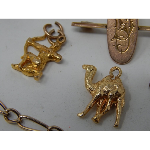 34 - Quantity of Mostly 9ct Gold Jewellery Including Charms & Bracelet. Gross weight 20.5g