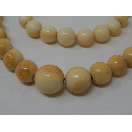 38 - Two Ivory Graduating Bead Necklaces, lengths 64cm & 46cm