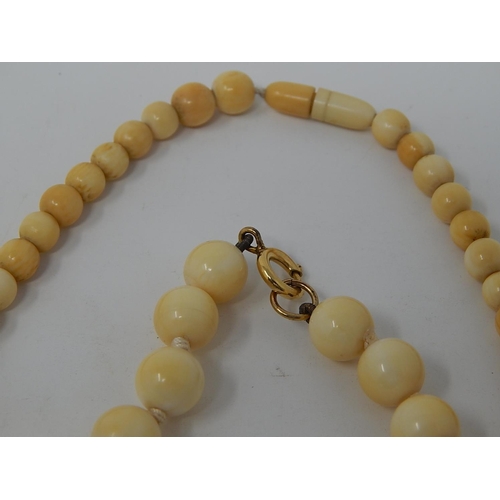 38 - Two Ivory Graduating Bead Necklaces, lengths 64cm & 46cm