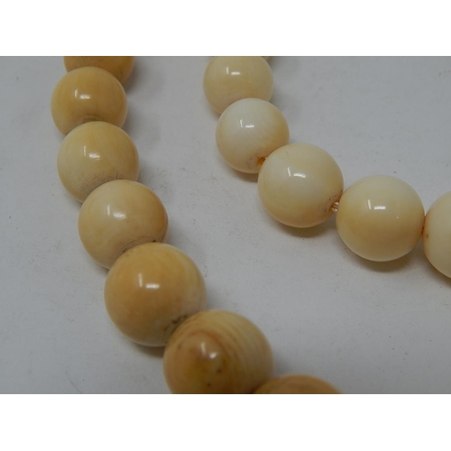 38 - Two Ivory Graduating Bead Necklaces, lengths 64cm & 46cm