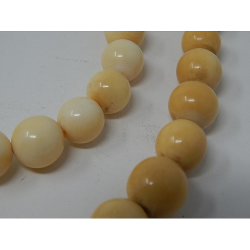 38 - Two Ivory Graduating Bead Necklaces, lengths 64cm & 46cm