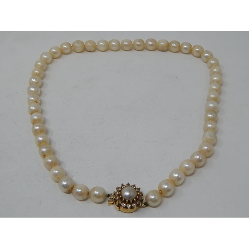 102 - Pearl Necklace With an 18ct Gold Clasp set with a central pearl & Diamond border. Length 40cm.