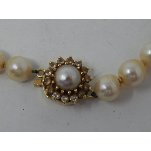 102 - Pearl Necklace With an 18ct Gold Clasp set with a central pearl & Diamond border. Length 40cm.