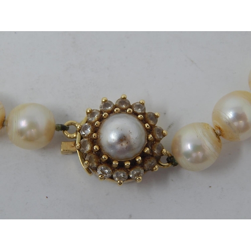 102 - Pearl Necklace With an 18ct Gold Clasp set with a central pearl & Diamond border. Length 40cm.