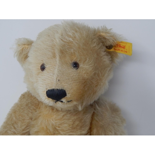 814 - Steiff Teddy Bear: The bear is plush golden coloured with jointed limbs, hump back & has a growler. ... 