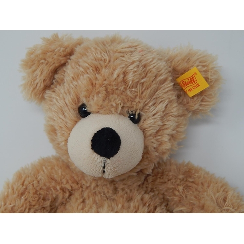 815 - Steiff Teddy Bear with Button & Label to ear. Height 29cm