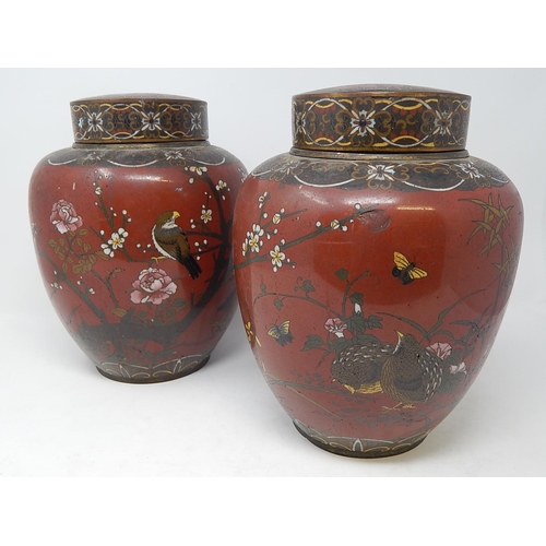 821 - Pair of 19th Century Cloisonné Ginger Jars. Red ground with Birds & Insects. Measuring 25cm High. A/... 