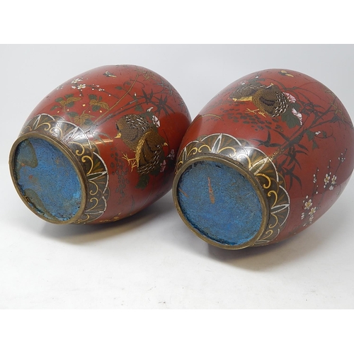 821 - Pair of 19th Century Cloisonné Ginger Jars. Red ground with Birds & Insects. Measuring 25cm High. A/... 