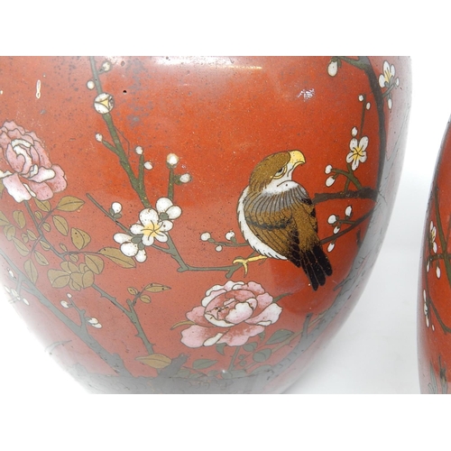 821 - Pair of 19th Century Cloisonné Ginger Jars. Red ground with Birds & Insects. Measuring 25cm High. A/... 