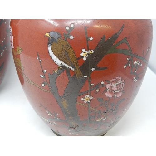 821 - Pair of 19th Century Cloisonné Ginger Jars. Red ground with Birds & Insects. Measuring 25cm High. A/... 