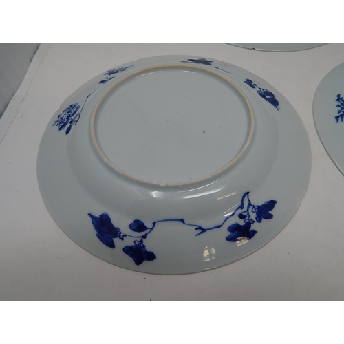 477 - Five Antique Chinese Plates: 22.5cm diameter