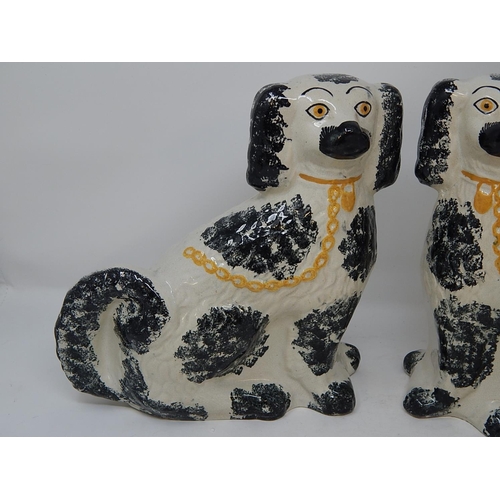 482 - Good Pair of 19th Century Staffordshire Spaniels. Height 25cm