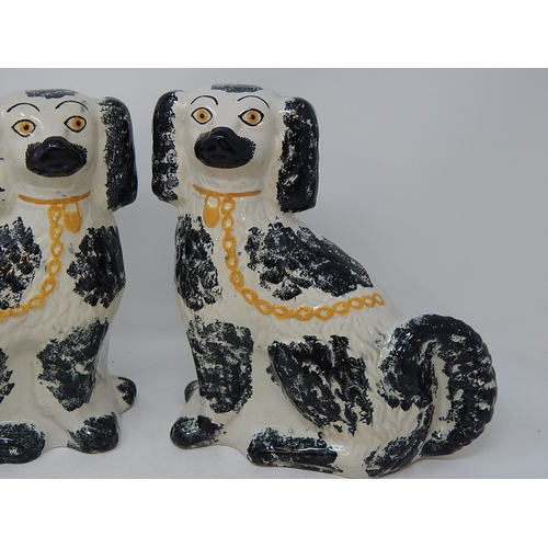 482 - Good Pair of 19th Century Staffordshire Spaniels. Height 25cm