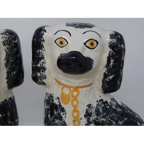 482 - Good Pair of 19th Century Staffordshire Spaniels. Height 25cm