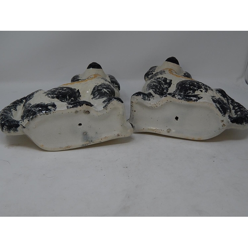 482 - Good Pair of 19th Century Staffordshire Spaniels. Height 25cm