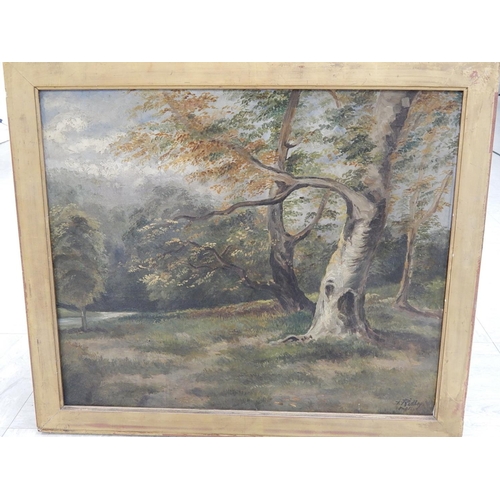 501 - Victorian Oil Painting of a Wood, Signed A.Ridley 1894 on a Windsor & Newton Canvas, Framed.