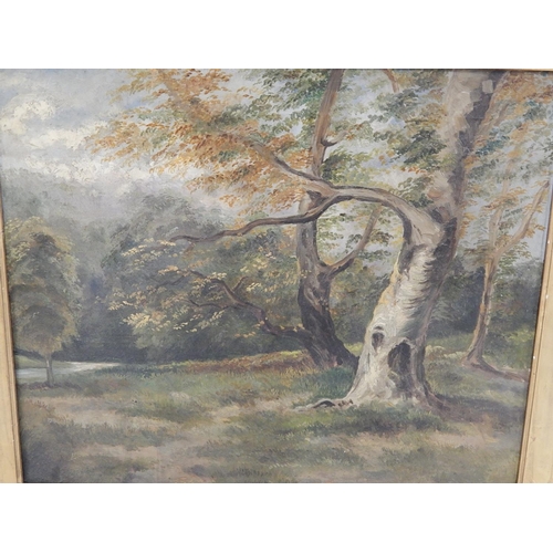 501 - Victorian Oil Painting of a Wood, Signed A.Ridley 1894 on a Windsor & Newton Canvas, Framed.