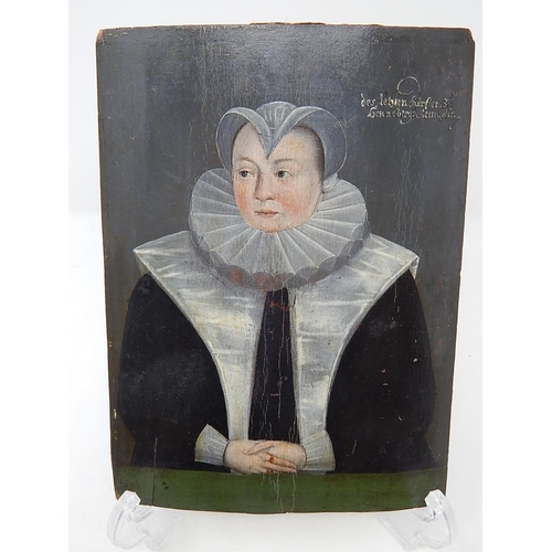 498 - C16th Oil on Panel of an Important German Lady Painted by a Court Painter. The Panel is of Slightly ... 