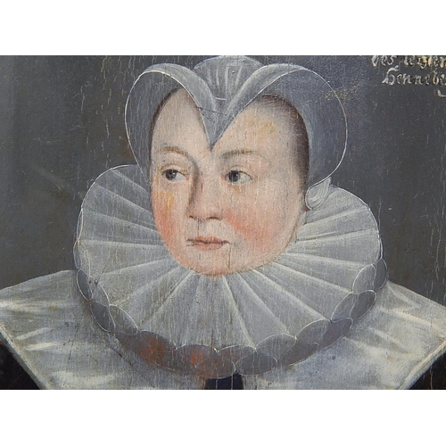 498 - C16th Oil on Panel of an Important German Lady Painted by a Court Painter. The Panel is of Slightly ... 