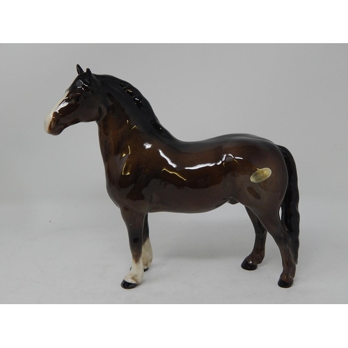 343 - Beswick: Seven Horses including the Huntsman within their original boxes/packaging together with a M... 