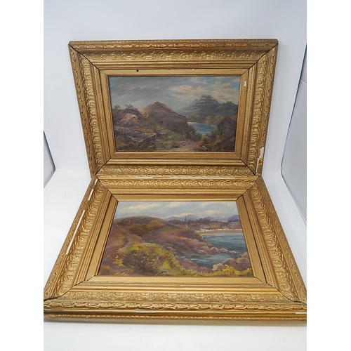 407 - A Pair of Late 19th Century Oil Paintings in Gilt Frames. Each Measure 54cm x 32cm Framed