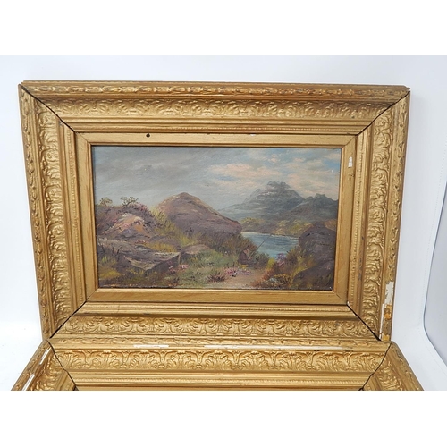 407 - A Pair of Late 19th Century Oil Paintings in Gilt Frames. Each Measure 54cm x 32cm Framed