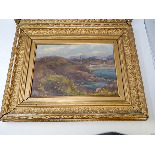 407 - A Pair of Late 19th Century Oil Paintings in Gilt Frames. Each Measure 54cm x 32cm Framed