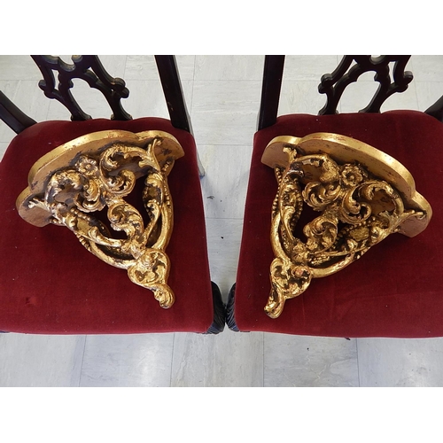 824 - A Pair of 19th century Giltwood Brackets with Rococo leaf & foliate decoration. Measuring 31cm wide ... 