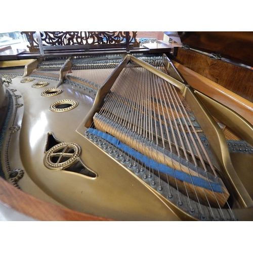 835 - RONISCH: Late 19th Century Ronisch Rosewood Grand Piano with Brass Adornments & Turned Bulbous Legs:... 