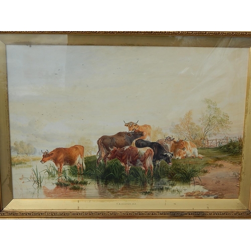 225 - THOMAS SIDNEY COOPER: 1803-1902: Watercolour of cattle at the river's edge. Measures 94cm x 72cm fra... 